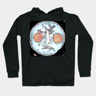 Egg Face Hoodie